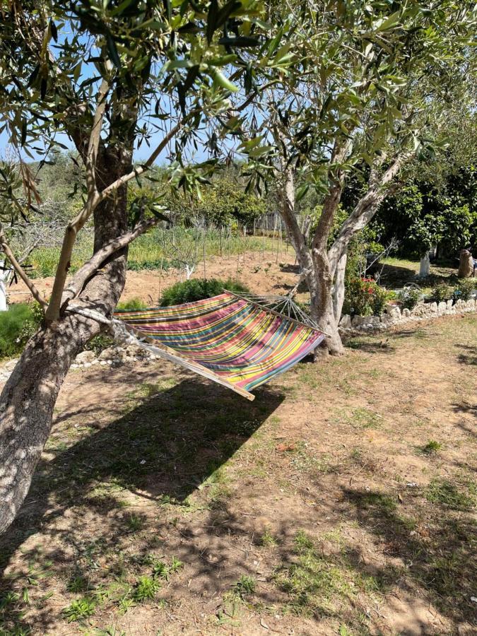 Antigone'S Garden Villa Halikounas Exterior photo